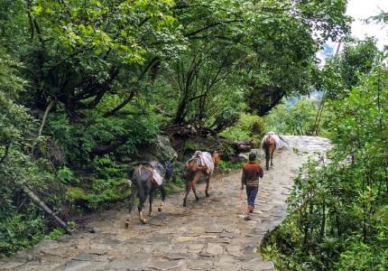 Chandigarh Hemkunt Sahib Tour