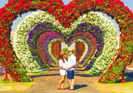 Calm Route: Chandigarh to Dharamshala & McLeodganj