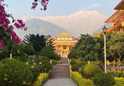 Peaceful Dharamshala Getaway from Chandigarh