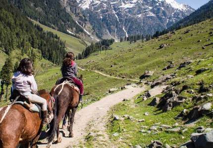 Chandigarh to Srinagar Gulmarg Pahalgam 7 Days Trip
