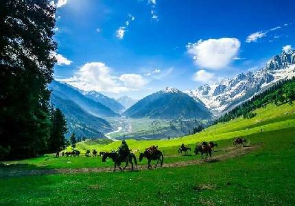 Chandigarh to Gulmarg Sonmarg Pahalgam 9 Days Grand Tour
