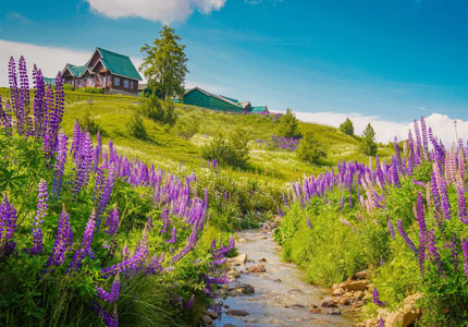 Chandigarh to Gulmarg Sonmarg Pahalgam 9 Days Grand Tour