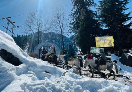 Manali Trip Starting from Chandigarh