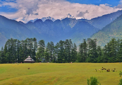 Shimla Manali Dharamshala Tour from Chandigarh