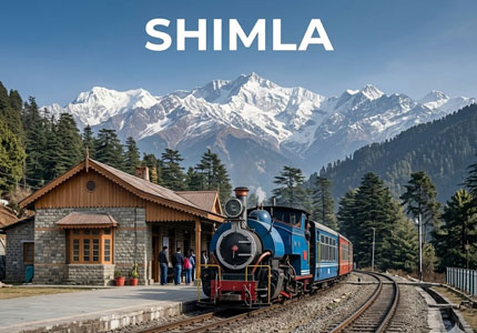 Shimla